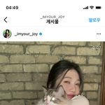 ㅅㅂ 조이 인스타 보다가 개<b>놀람</b>