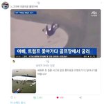 아 이거 전부 봐주면 좋겠다 ㅋㅋㅋㅠㅠ