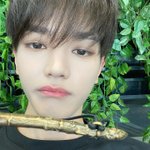 [NCT즌] 플에 미안한데 오늘