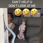 [NCT즌] <b>벨라</b> 개웃곀ㅋㅋㅋㅋㅋ