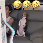 [NCT즌] <b>벨라</b> 존귀