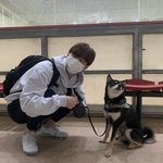 미쳤다 남친짤