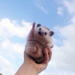 [<b>YG</b>] 진정한 성덕