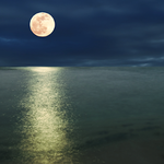 [댓글부탁해] 이거 제발 도와줘ㅠ