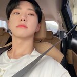[세븐틴] 호시
