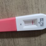 아무리봐도 임신 아니겠죠..ㅠ?