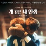 [댓글부탁해] 아 언니 개부러워 진짜로