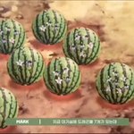 [NCT즌] 와 으맠중심 그만둔지 2년 넘었는데