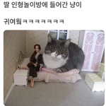 남은 방학동안