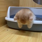 내 기준 졸라 웃긴 남돌