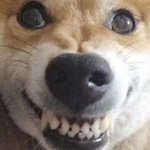 [레드벨벳] 레벨 연차가 있는데 이제 성적에 <b>연연</b>하기보다는 즐기면서...