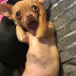 [모두드루와] 너네 지금 이 글 본 그 상태로