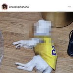 [이것좀봐줘] 동물<b>학대</b> 이슈화 시키고싶어요