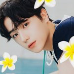 [더보이즈] 가만히 보기만해도 삶의 질 <b>향상</b>됨