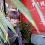 [NCT즌] 이 <b>사진</b> <b>개</b>잘나옴 꼭 한번씩 봐줘