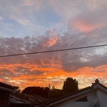 지금까지 찍은 김판녀의 <b>갬성</b>사진2