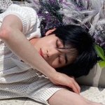 [<b>빅톤</b>] 동벵릉망의 핑꿈치