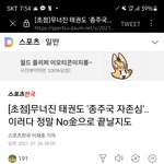 <b>이런기사</b> 개짜증남