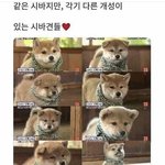 [댓글부탁해] 파데나 쿠션 잘알 있냐
