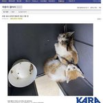 [댓글부탁해] <b>디씨</b>는 진짜 역겨운거 맞는듯