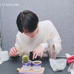 아기 <b>고앵이</b>가 선인장 이사 시켜줌