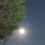 엠비티아이과<b>몰입</b>하는 애들아