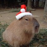 써니힐 <b>Goodbye</b> to romance 왜 안듣냐고