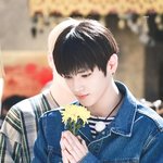 [NCT즌] <b>와우</b>... 모닝 태용시...