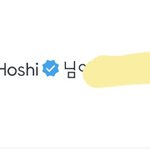 [세븐틴] ㅅㄷ? 호시가 댓글 좋아요 눌러줬어...