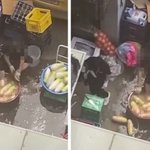 솔로 무 손질하는 식당 <b>영상</b> 확산...식약<b>처</b> "방배동 족발집"