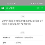 [세븐틴] ㅅㄷ) <b>심심</b>해서 국제 호랑이의 날에 대해 찾아봄