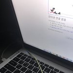 [ㅈㄱㄴ] 고립 2시간째...
