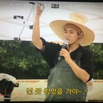 [세븐틴] 뭔가