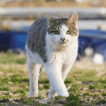 나 국어 <b>풀때</b> 진짜 이상함