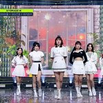 [모두드루와] 여자아이들 x 아이즈원 x <b>위키</b>미키 다만세 커버