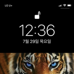 [세븐틴] 오늘 국제호랑이의 날이니까