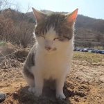 고3인데 <b>현타</b> 오진다