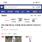 디시 <b>개역</b>겹다