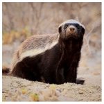 [추반] 재드래곤딸이 나 팔로<b>우함</b>뭐냐