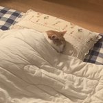 [드루와] 아 ㅠㅠㅠㅠㅠㅜ 썸남 짜증나