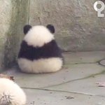 [댓글부탁해] <b>현우</b>진 듣는 고3 정시러 다 와주샴!!!!!!!!...