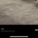 [NCT즌] 나 도블 2월에 시작햇는데 사진