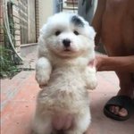 [댓글부탁해] 얘들아 나 짝사랑 가망없어보이지?