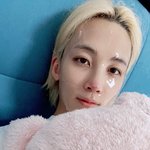 [세븐틴] <b>정한</b>이 돼지인형 판매처 아는사람...