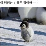 [드루와] 나 <b>첫</b>경험 했음ㅋㅋㅋㅋㅋㅋ