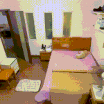 <b>푸들</b> 키우는 애들아