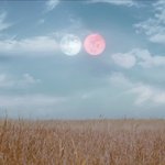 [스키즈] 우리 세계관 은근 <b>심오</b>하구나...?