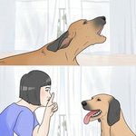 [더보이즈] 나 좋은 먹<b>금</b>짤 발견했어