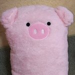 [세븐틴] 저기 밑에 정한이 <b>돼지</b> 인형 판매처 찾는 쓰니야!