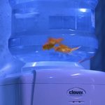 [19] 나 소위말하는 <b>나대</b>는찐따였는데